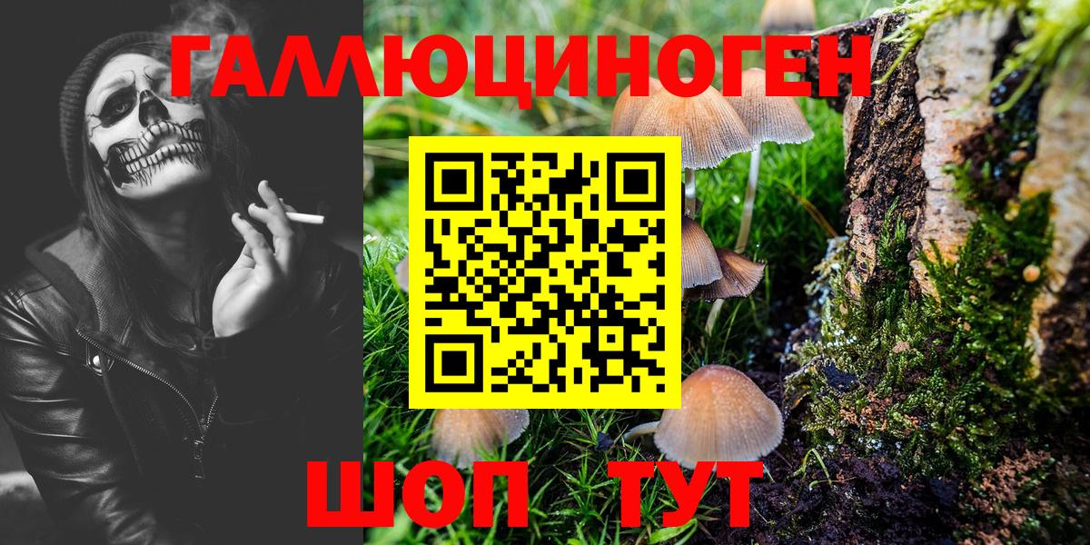 Галлюциногенные грибы GOLDEN TEACHER  Псилоцибиновые грибы ЛСД  Вход с VPN  магазин    Екатеринбург 
